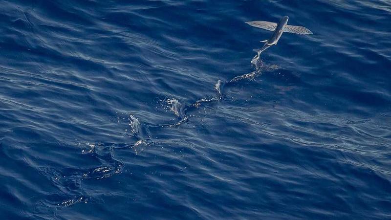 1988影院-恐怖片高清剧照